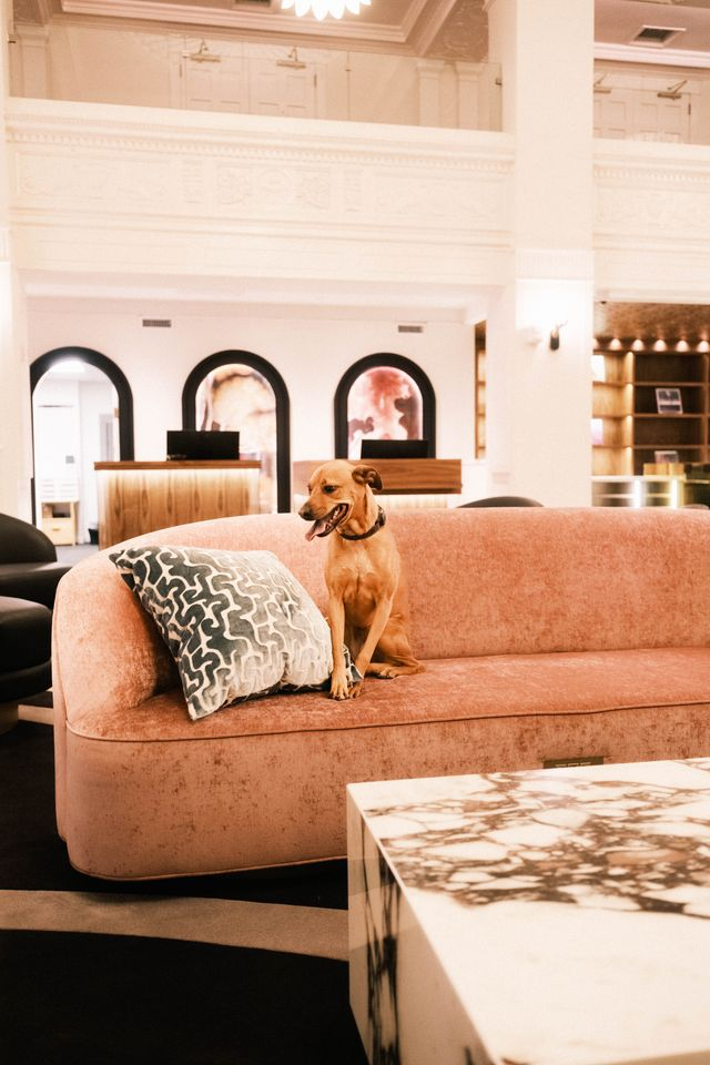 Pet-Friendly Stay at The Gunter Hotel